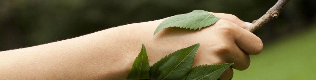 Awareness-events-banner