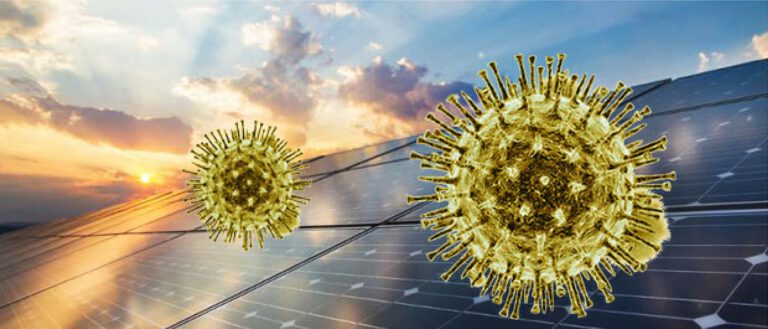 Solar Panels with viruses icons describing the COVID 19 impact on the solar energy industry
